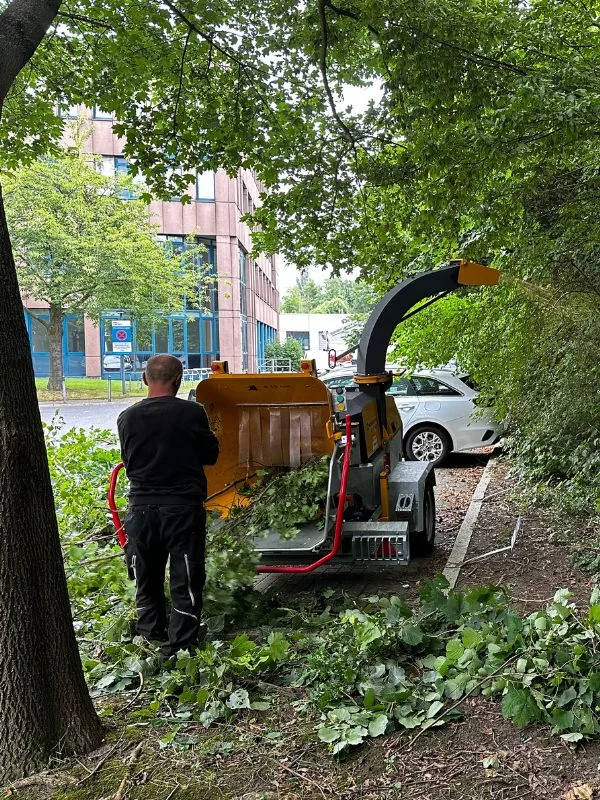 Garten- und Grünflächenpflege