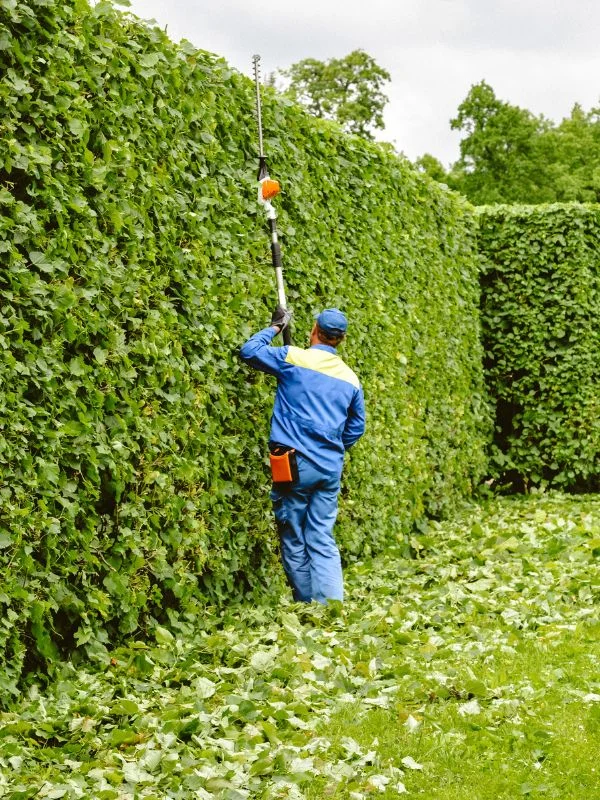 Grünflächenpflege sorgt für saubere, gesunde und repräsentative Außenanlagen
