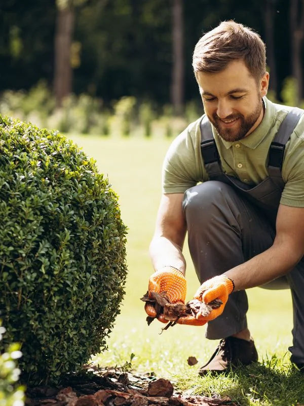 Grünflächenpflege für Wohnen, Gewerbe und Öffentlichkeit